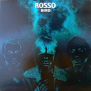 レア盤！ROSSO / BIRD チバユウスケ・レコード 期間限定早割